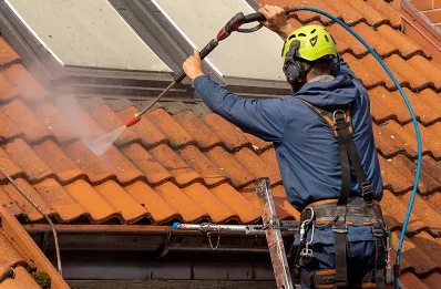 Démoussage et hydrofuge de toiture à Pamproux